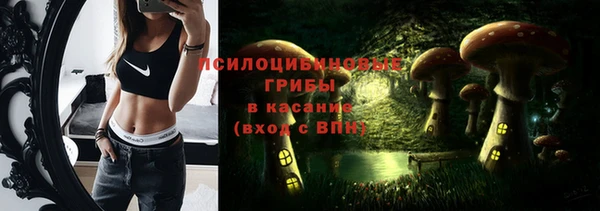 не бодяженный Лагань