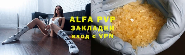 спайс Ладушкин