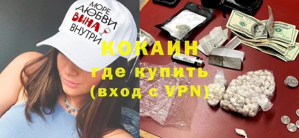 спайс Ладушкин