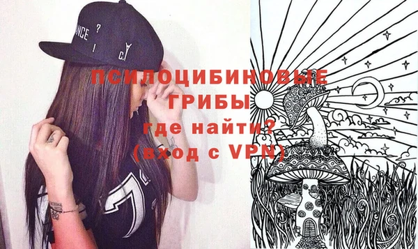 первитин Лабытнанги