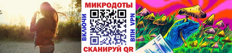 Галлюциногенные грибы Psilocybine cubensis  Купить где  Поворино 